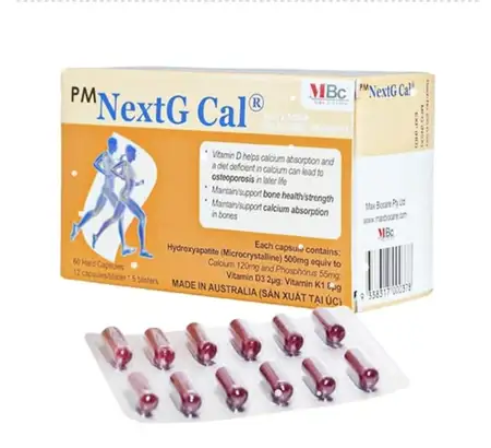 PM nextg Cal h/60 vien